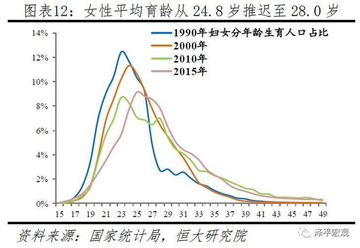 代生孩子40万【40万代生孩子:生育成本与选择困境】