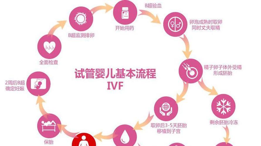 包成功试管代怀包生男孩需要多少费用(成功试管代怀包生男孩费用查询)