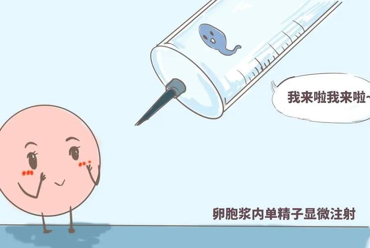 代生男孩全包【代生男孩全包服务：一站式解决生育难题】